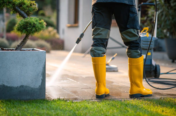 Best Deck Cleaning Services  in Buckhorn, CA